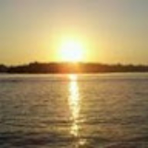 Meet your Posher, Jerry - Picture 1 of 1